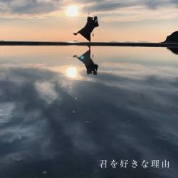 Cover image for the single 君を好きな理由 by wacci