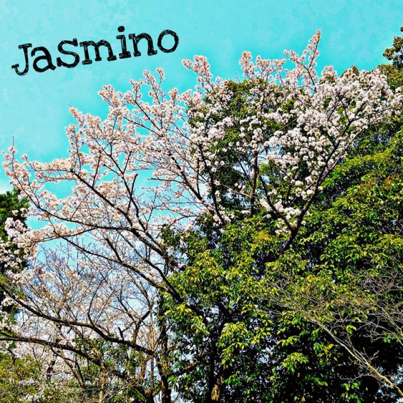 「The beginning for someone The end for someone」 single by Jasmino - All Rights Reserved