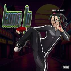 Cover image for the single kung fu by Lisa lil vinci