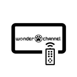 Cover image for the single Swingin' Wonder by wonder channel