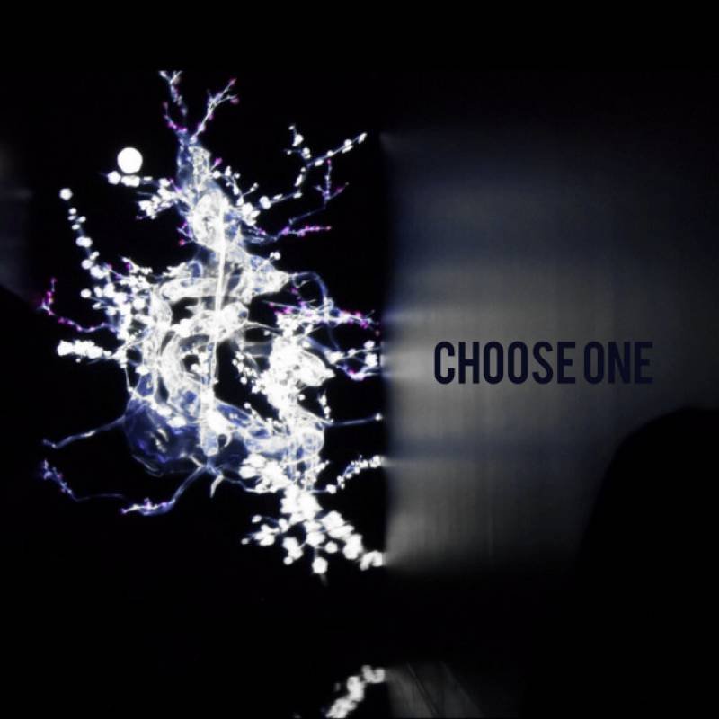 「Choose One」 single by 2SEAL - All Rights Reserved