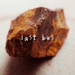 Cover image for the single Last bus by 2z*U*