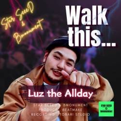 Cover image for the single Walk this... by STAR SEEED, Luz The Allday, Bmonument