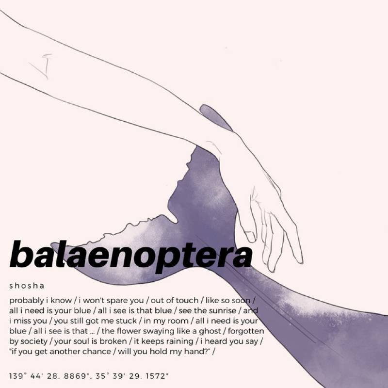 「balaenoptera」 single by shosha - All Rights Reserved