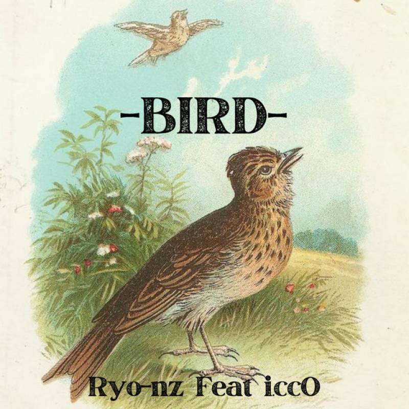 「BIRD」 single by Ryo-nz - All Rights Reserved