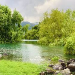 Cover image for the single LAKE by Tori to mi's umi.