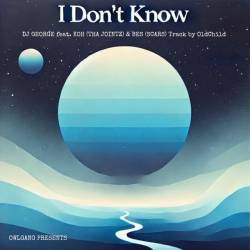 Cover image for the single I Don't Know (not you) by DJ GEORGE, OWLGANG