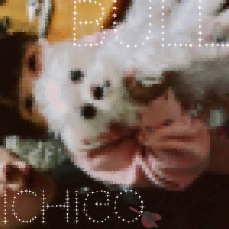 「BULL」 single by ICHIGO - All Rights Reserved