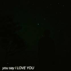 Cover image for the single you say I LOVE YOU by 二丁目の魁カミングアウト