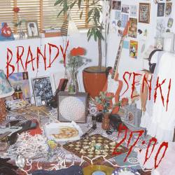 Cover image for the single 27:00 by Brandy Senki