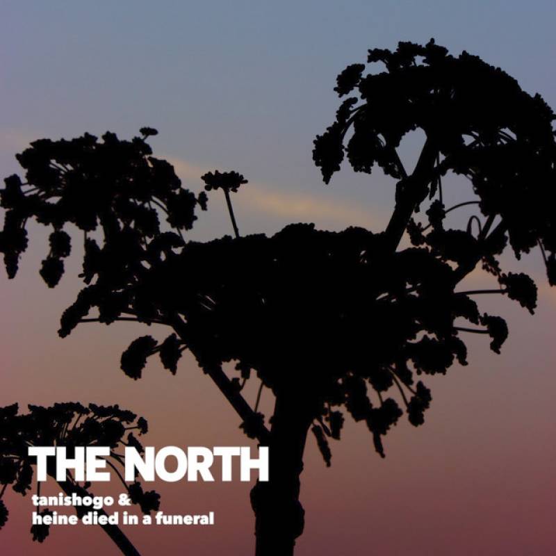 「THE NORTH (2024)」 single by tanishogo, heine died in a funeral - All Rights Reserved