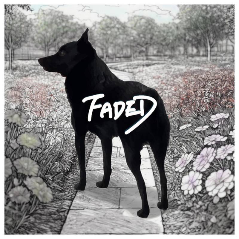 「FADED」 single by RhymeTube, Foi, Lost Outrider - All Rights Reserved