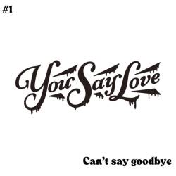 Cover image for the single Cant’ say goodbye by 平野友里, Shuon, Luuna©hocolate