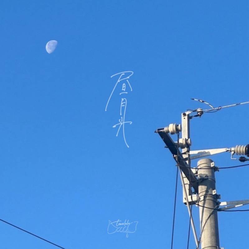 「昼月光」 single by towelulu - All Rights Reserved