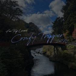 Cover image for the single Comfy Tripper by D0R4