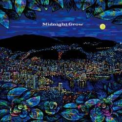 Cover image for the single Midnight Grow by SHANK