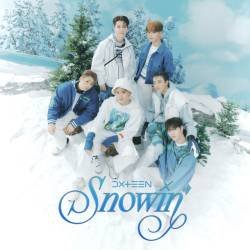 Cover image for the single Snowin’ (Special Edition) by DXTEEN