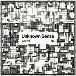 Cover image for the single Unknown Sense by ExWHYZ