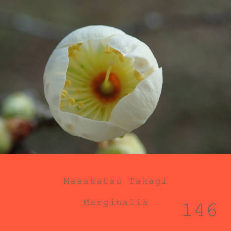 「Marginalia #146」 single by Masakatsu Takagi - All Rights Reserved