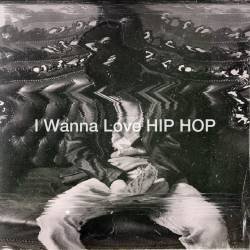 Cover image for the single I Wanna Love HIPHOP by Noar the 14