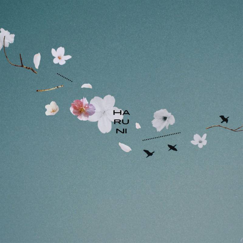 「春に」 single by こたに - All Rights Reserved