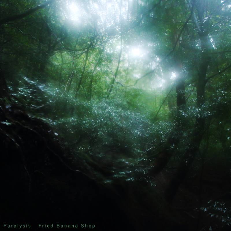 「Paralysis」 single by Fried Banana Shop - All Rights Reserved