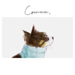 Cover image for the album Comma by 佐々木恵梨