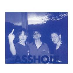 Cover image for the single Asshole (Unplugged Mix) by NOT WONK