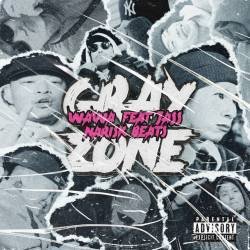 Cover image for the single Gray Zone by WAWA