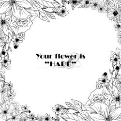 Cover image for the album Your flower is"HARU" by BOY MEETS HARU