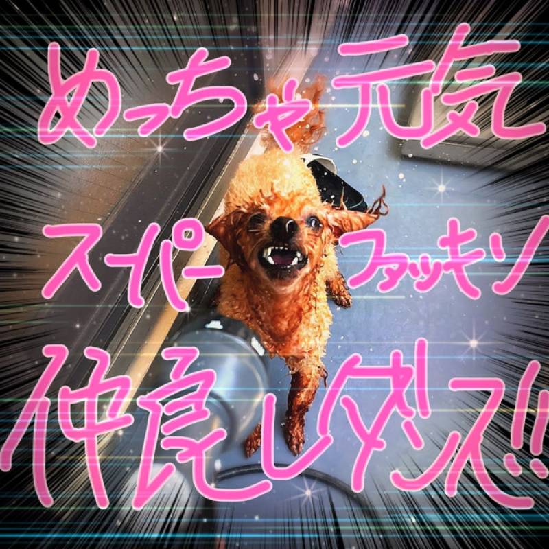 「めっちゃ元気スーパーファッキン仲良しダンス！！」 single by 泣くな、ホームレス。 - All Rights Reserved