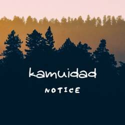 Cover image for the single Notice by kamuidad