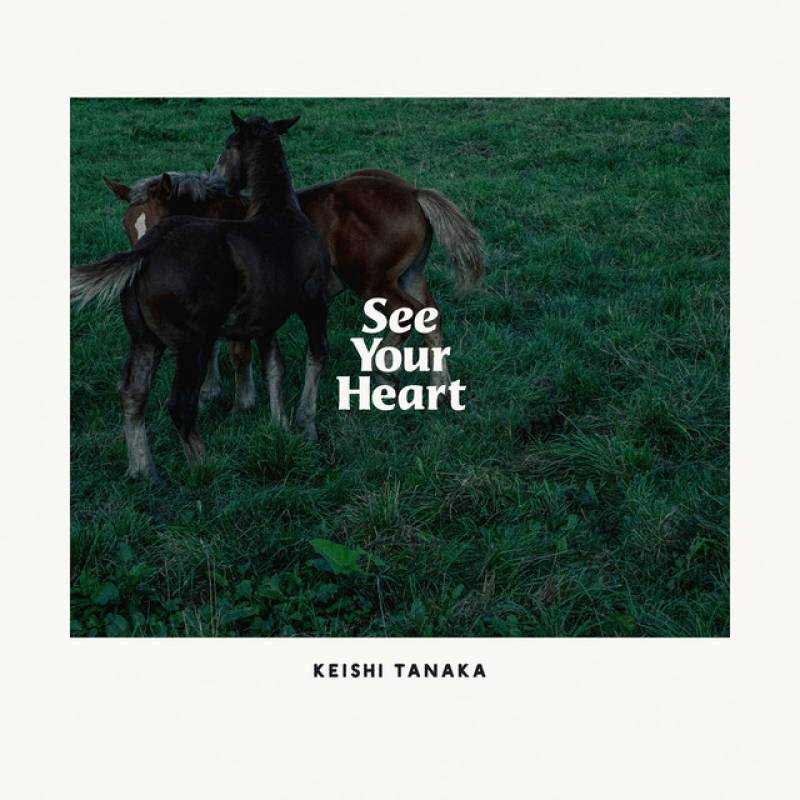 「See Your Heart」 single by Keishi Tanaka - All Rights Reserved