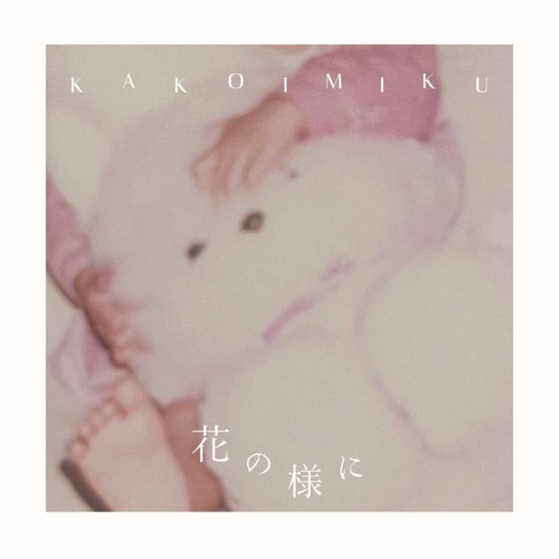 「花の様に」 single by Miku Kakoi - All Rights Reserved