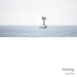 Cover image for the single Hatching by Asami Tono, Kaseki Hunter