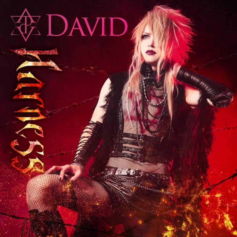 「Harness」 single by DAVID - All Rights Reserved