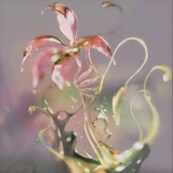 Cover image for the single overflow by CVN, PINKBLESS