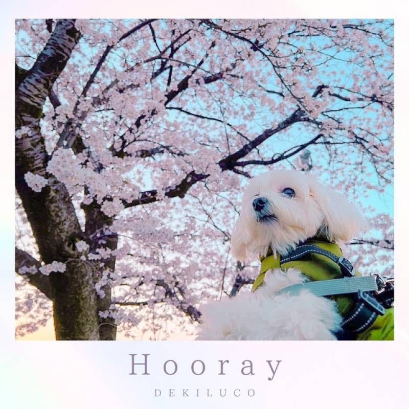 「Hooray」 single by DEKILUCO - All Rights Reserved