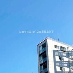 Cover image for the single にせものみたいな空を見上げる by 直