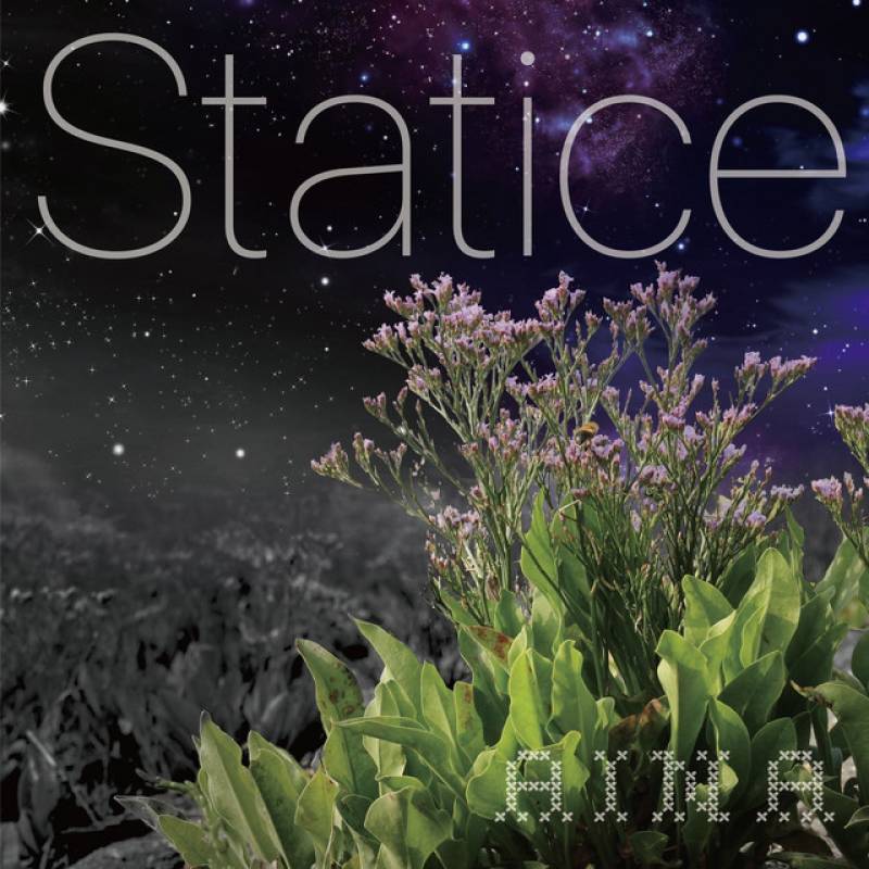 「Statice」 single by aina - All Rights Reserved