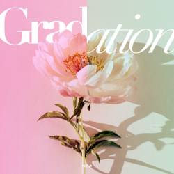 Cover image for the single Gradation by 心之助