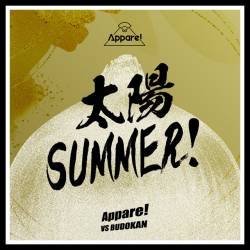 Cover image for the single 太陽 SUMMER！ by Appare!