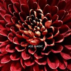 Cover image for the single Irritation by ASS MAGIC