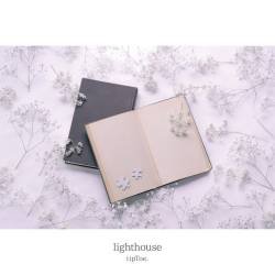 Cover image for the album lighthouse by tipToe.