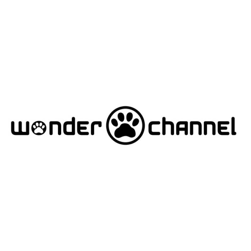 「わんダフルドリーマー！」 single by wonder channel - All Rights Reserved