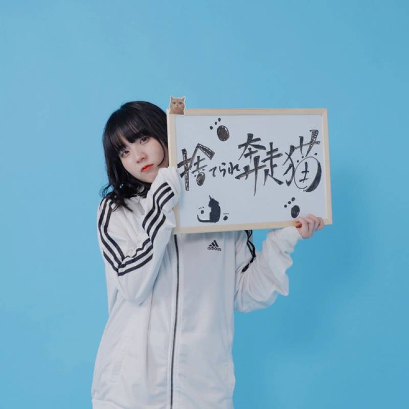 「捨てられ奔走猫」 single by としゆか - All Rights Reserved