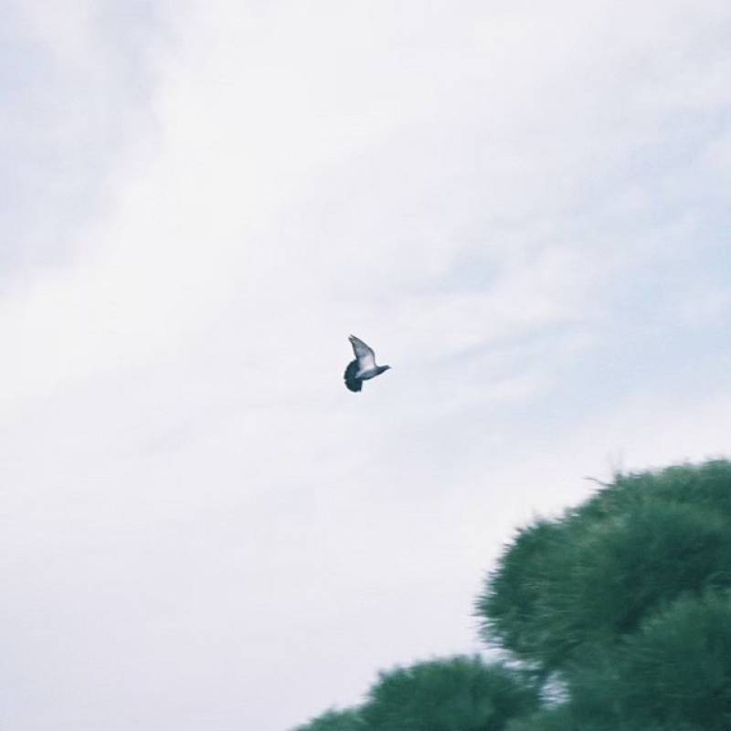 「共感」 single by オトウトの課題 - All Rights Reserved