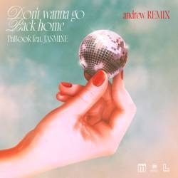 Cover image for the single Don't wanna go Back home (andrew Remix) by JASMINE, DaBook, andrew