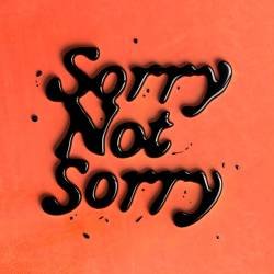 Cover image for the single Sorry Not Sorry by iScream