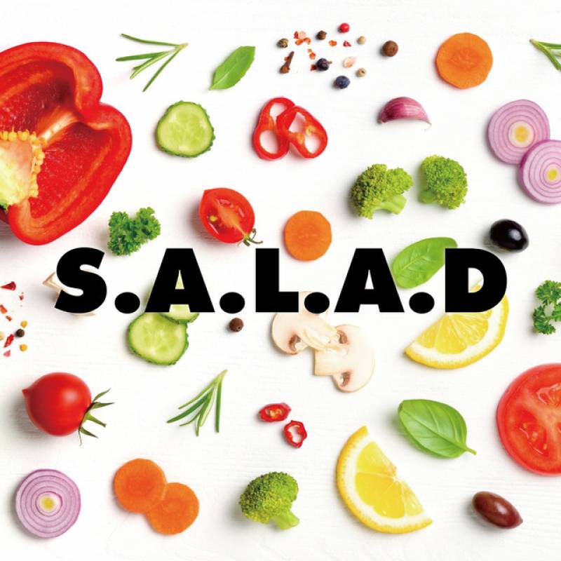 「RECIPE」 album by S.A.L.A.D - All Rights Reserved